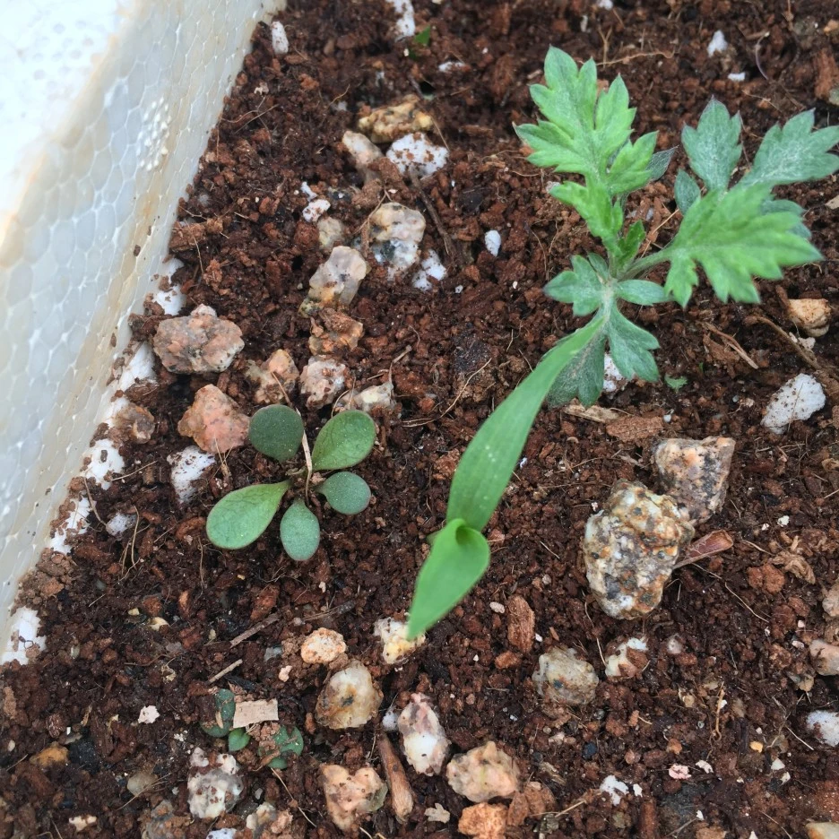 20210423_0986.JPG?type=w1