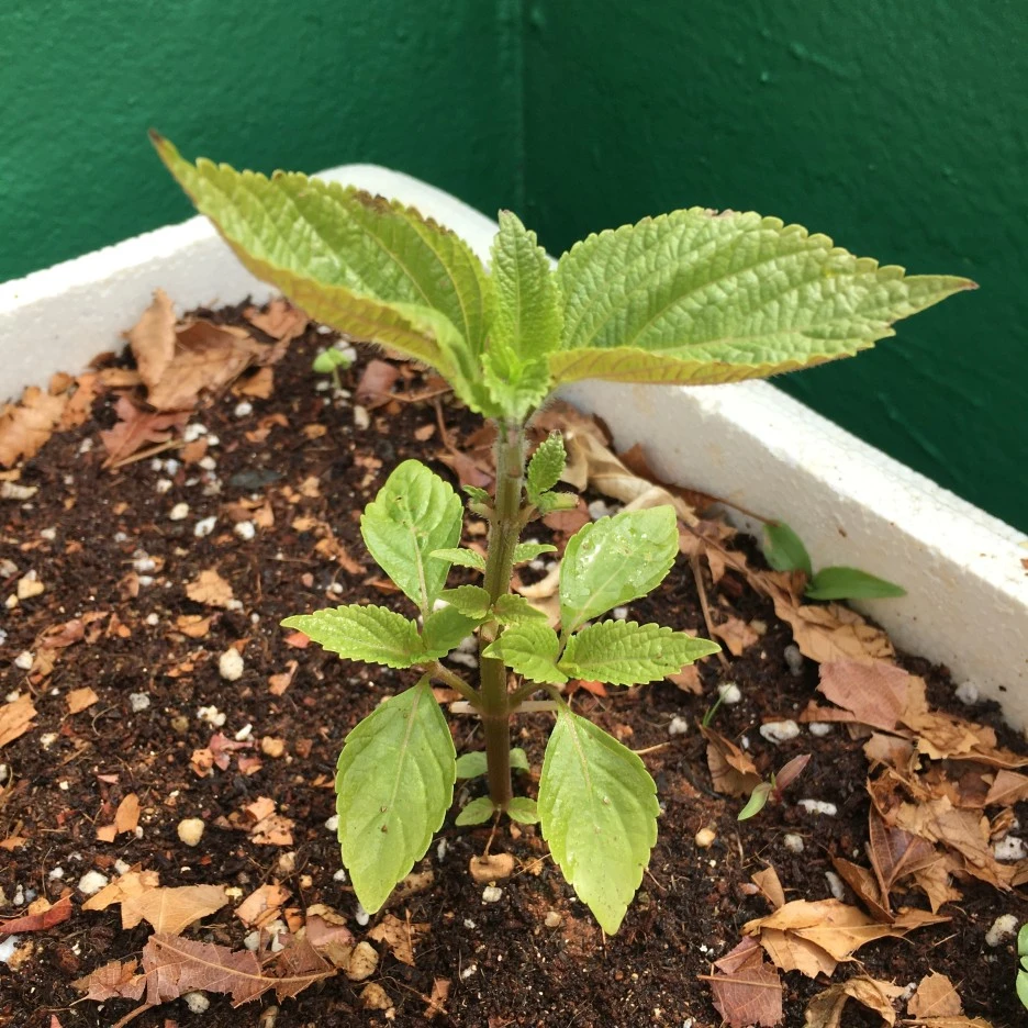 20210515_1550.JPG?type=w1