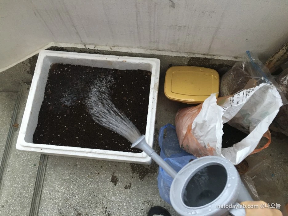 20210321--%EB%82%A0%EC%A7%9C-14.jpg?type=w1