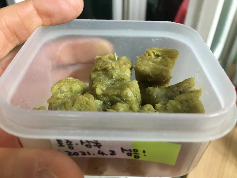 20210407_0553.JPG?type=w1