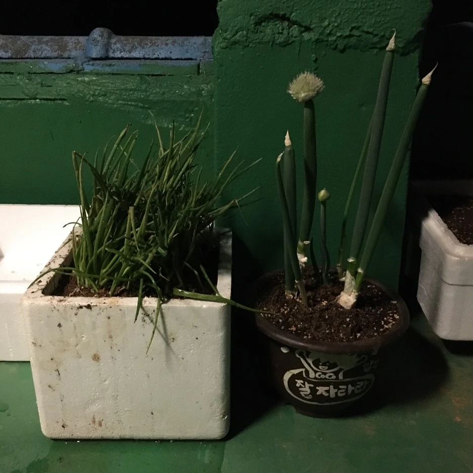 20210416_1119.JPG?type=w1