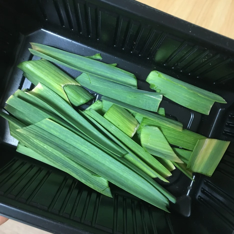 20210426_1097.JPG?type=w1