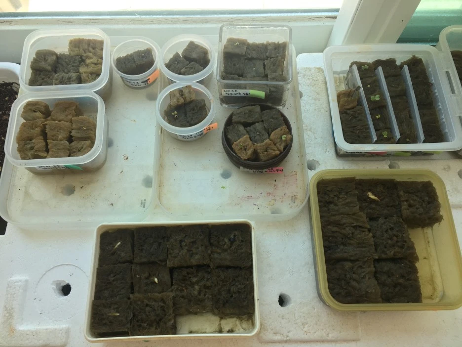 20210418_2836.JPG?type=w1