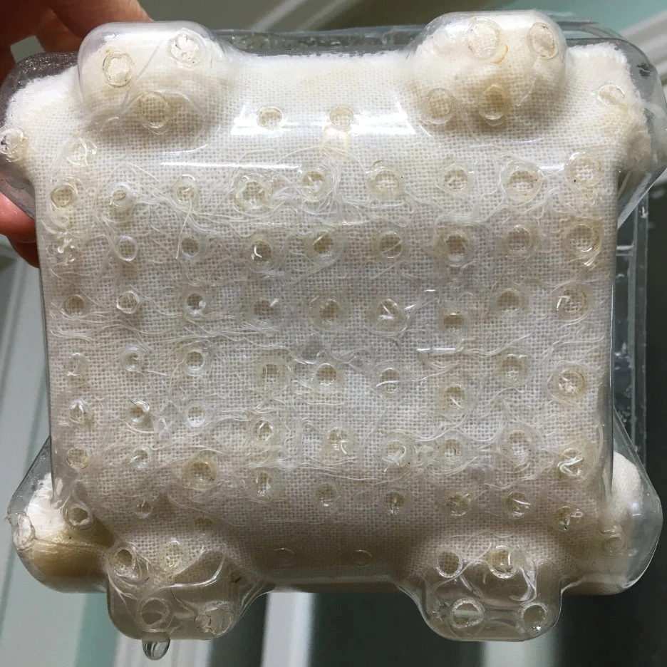 20210428_1186.JPG?type=w1