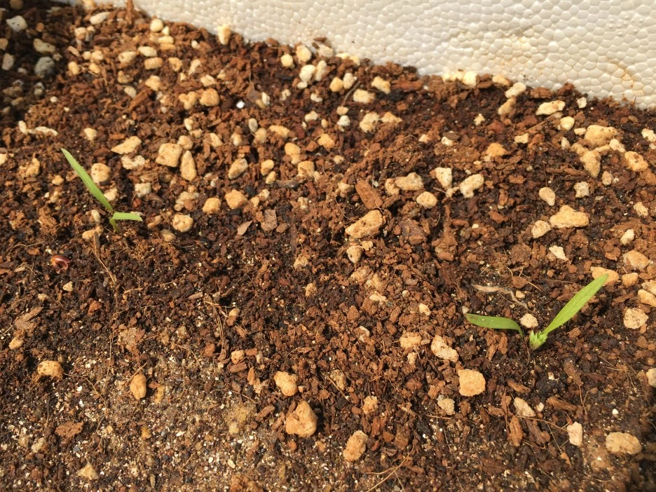 20210410_0707.JPG?type=w1