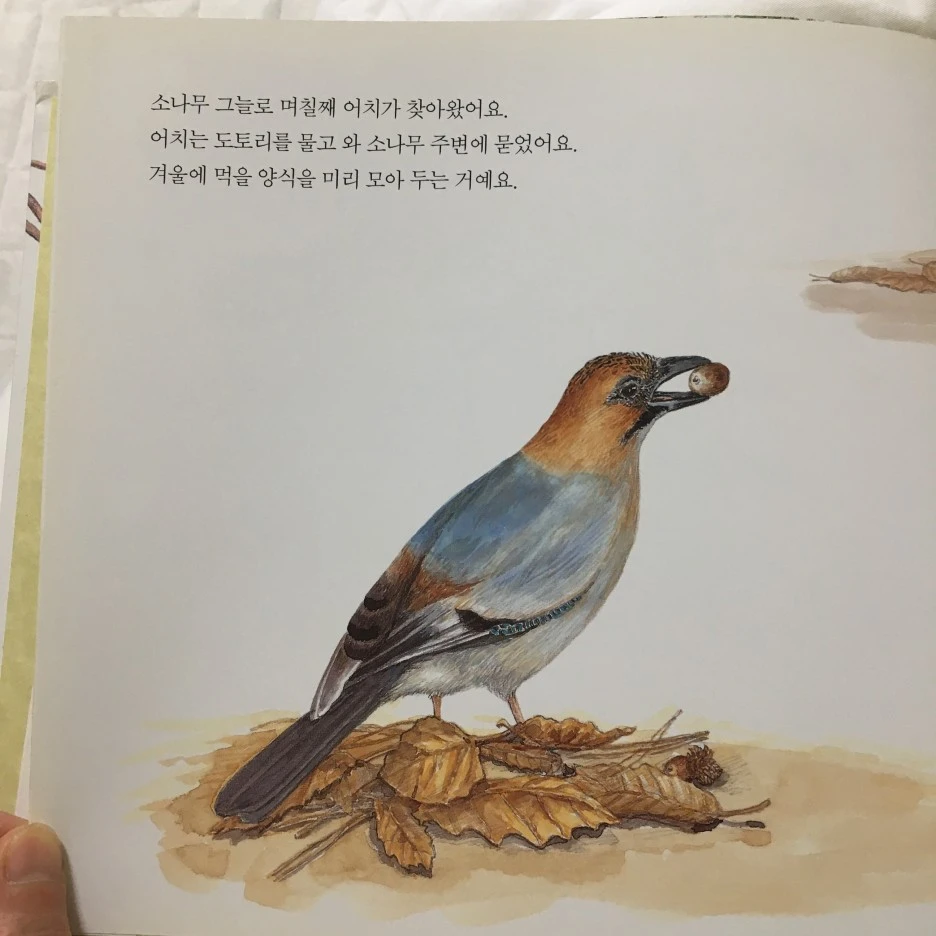 20210516_1583.JPG?type=w1