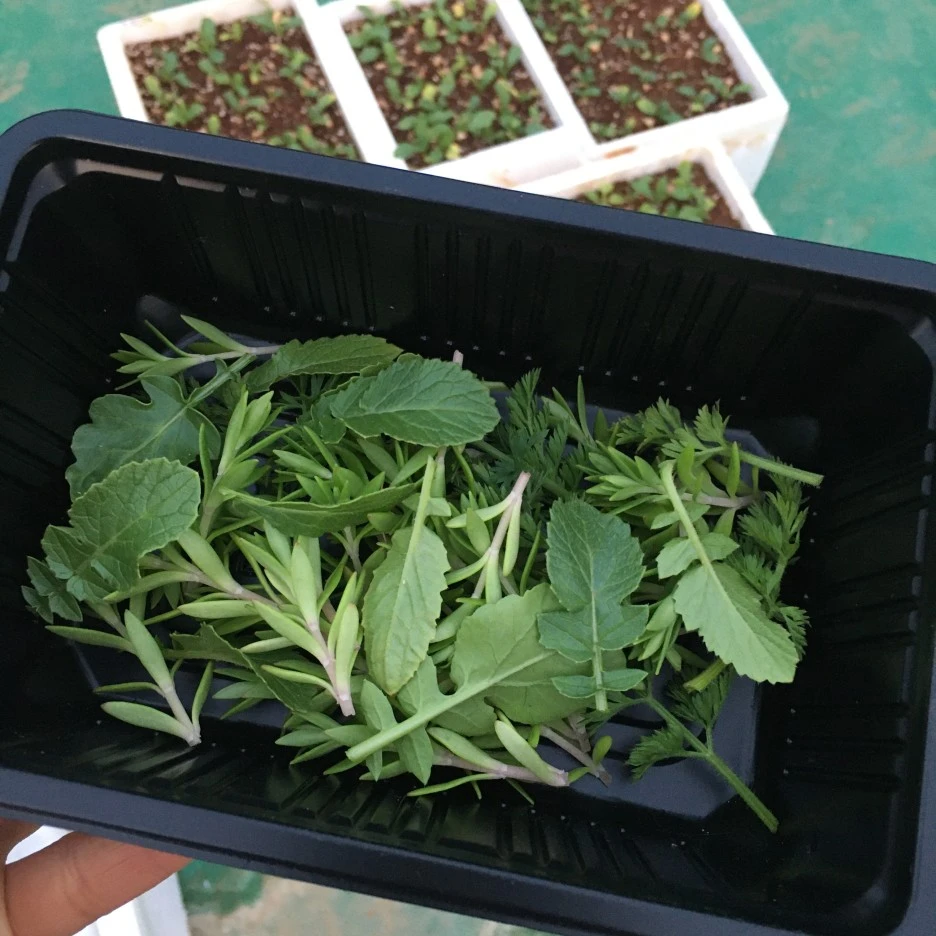 20210424_1029.JPG?type=w1