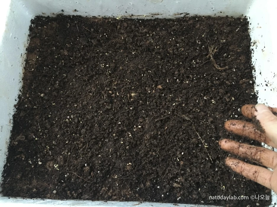 20210321--%EB%82%A0%EC%A7%9C-16.jpg?type=w1