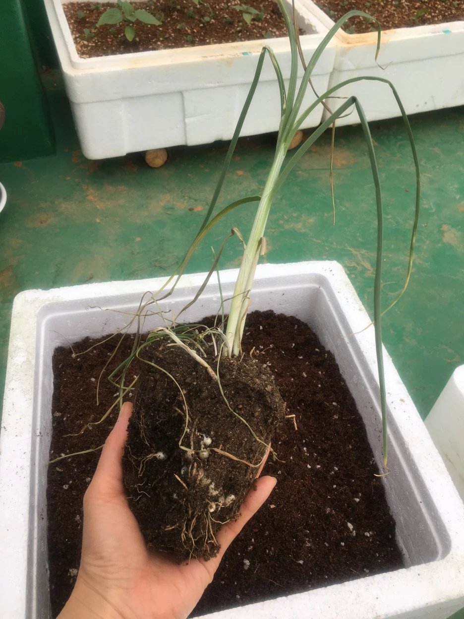 20210423_0995.JPG?type=w1