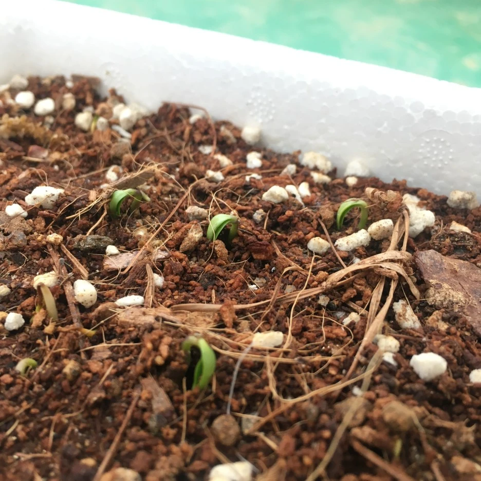 20210422_0949.JPG?type=w1