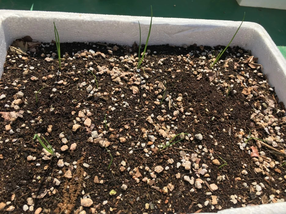 20210519_1671.JPG?type=w1