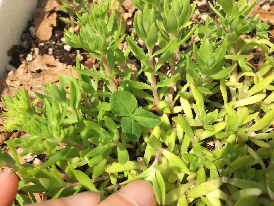 20210503_1254.JPG?type=w1