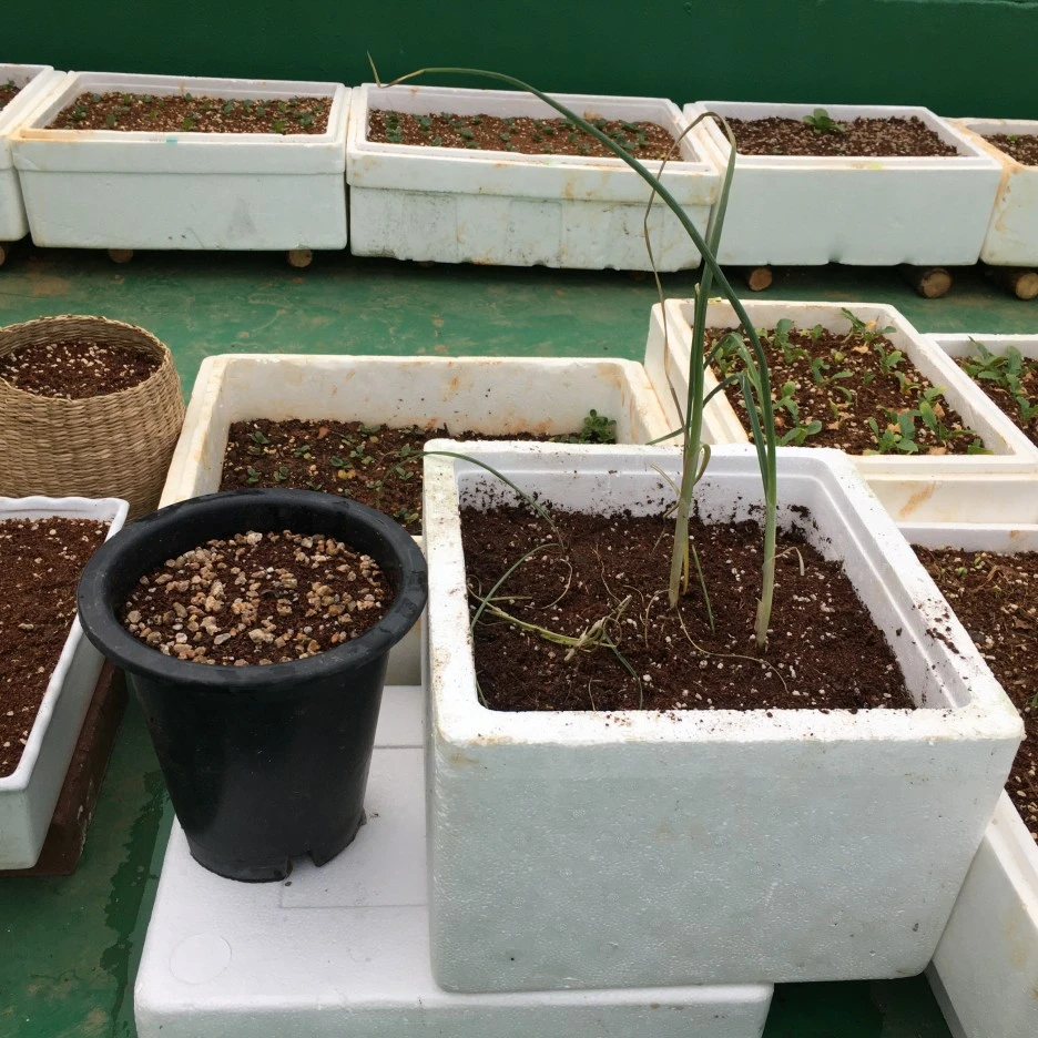 20210423_1000.JPG?type=w1