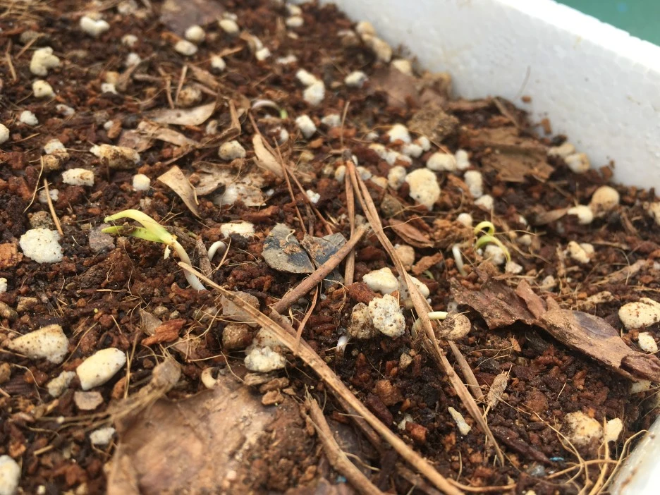 20210418_2829.JPG?type=w1