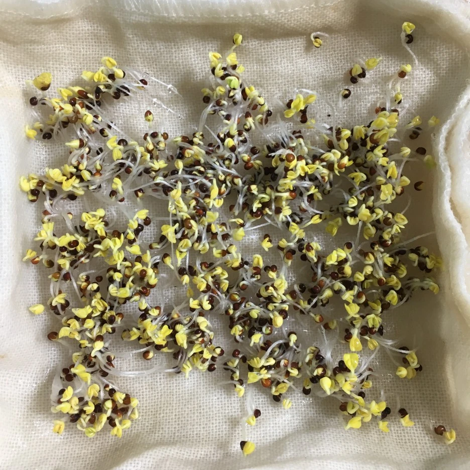 20210425_1064.JPG?type=w1