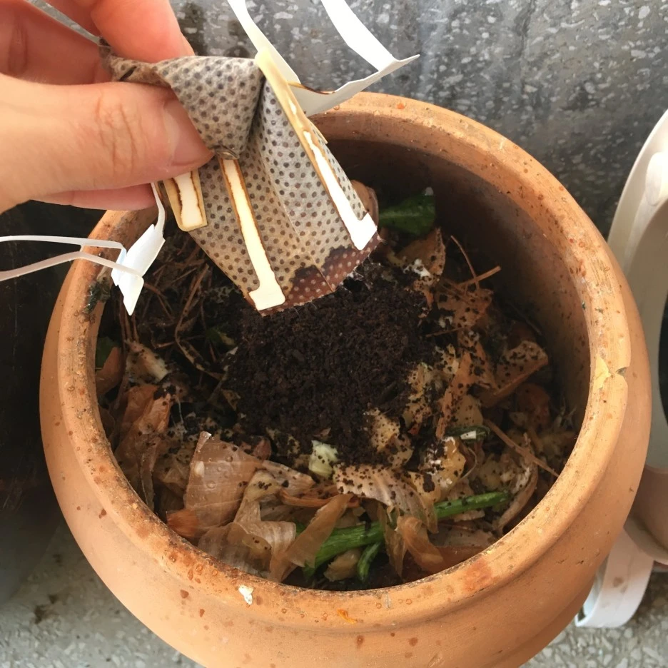 20210414_1050.JPG?type=w1