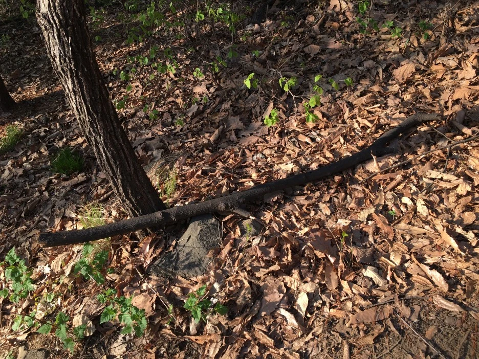 20210408_0585.JPG?type=w1