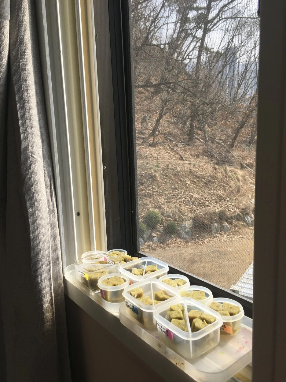 20210314_0192.jpg?type=w1