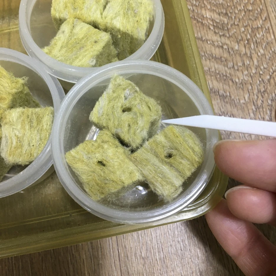 20210310_0131.jpg?type=w1