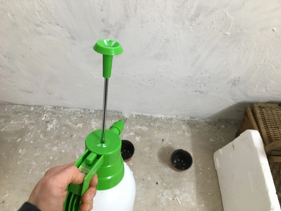 20210506_0101.JPG?type=w1