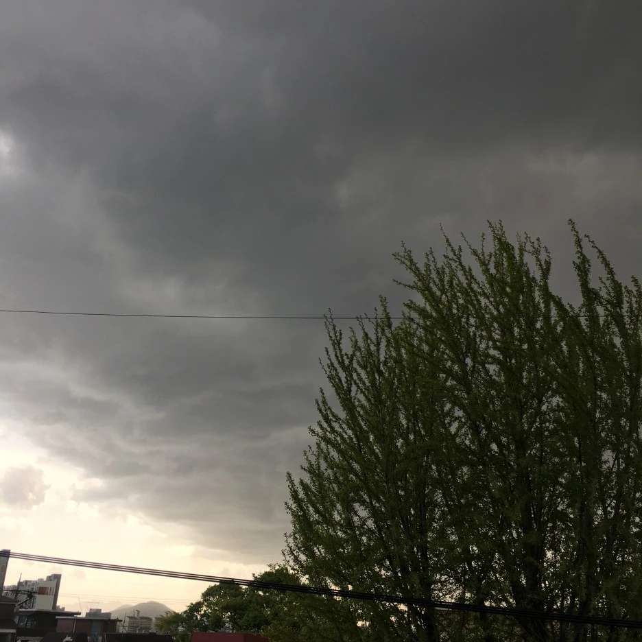 20210417_1133.JPG?type=w1