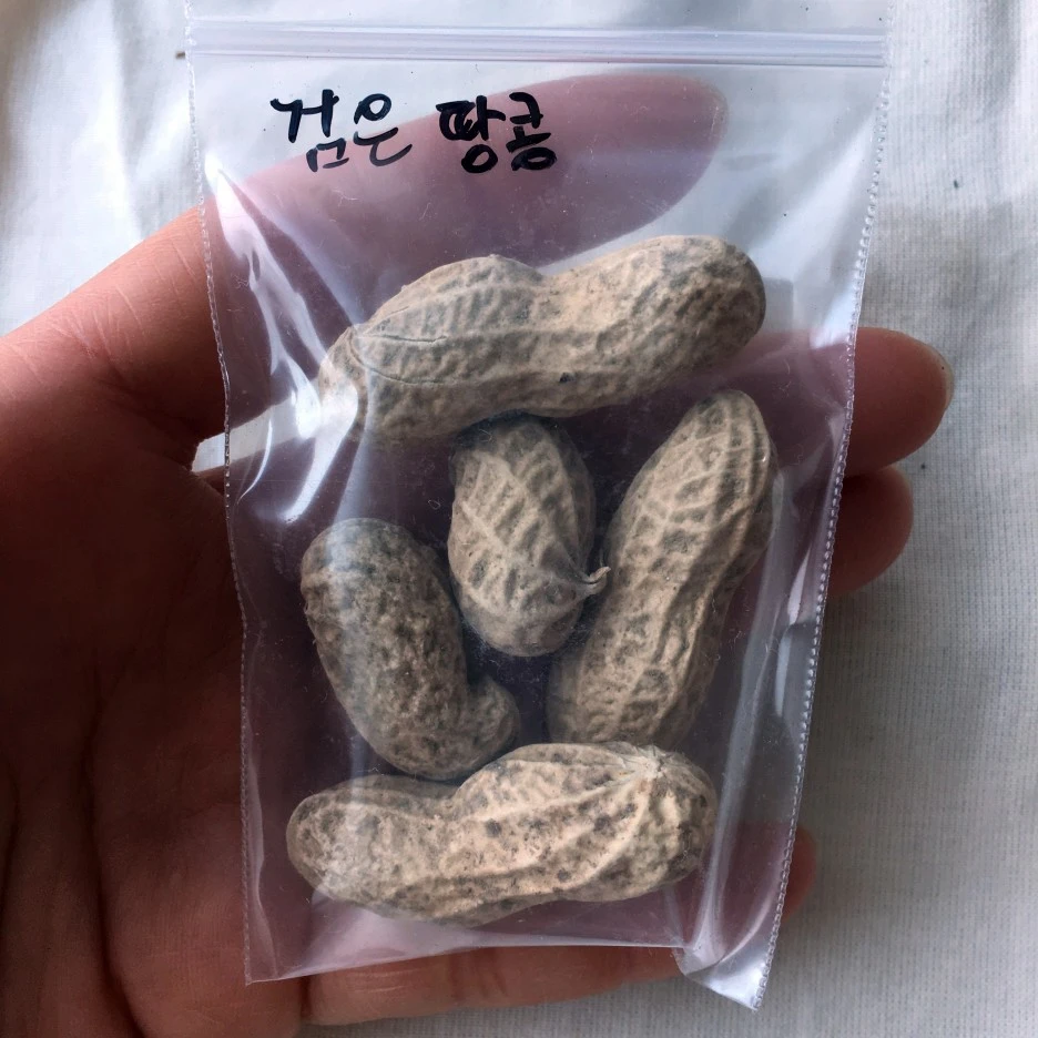 SE-9c808731-6590-4d85-a760-906b25214a22.jpg?type=w1