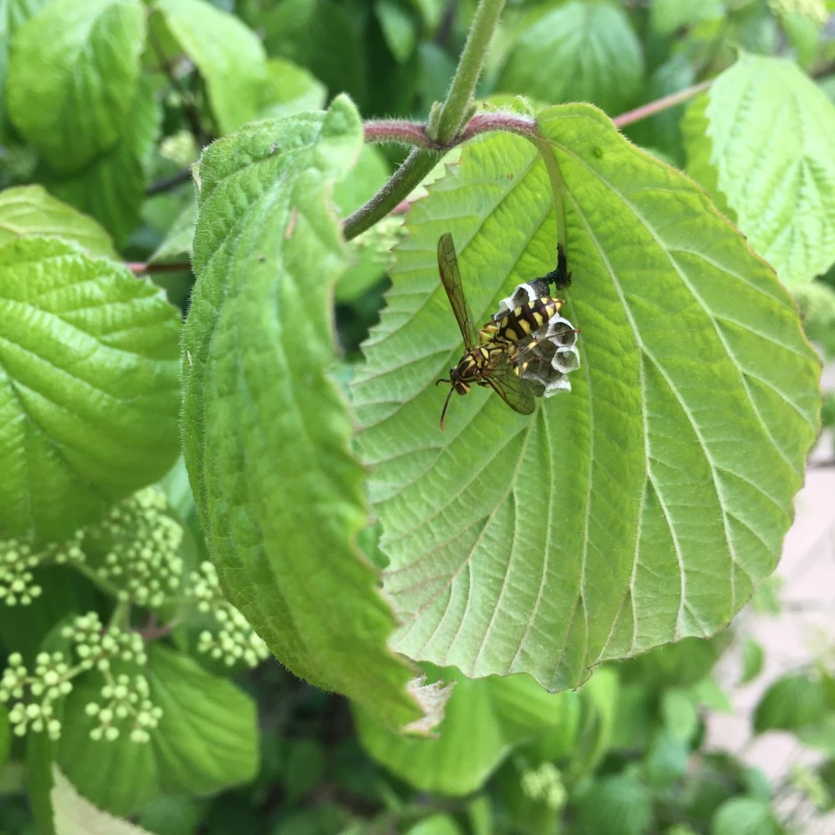 20210511_1384.JPG?type=w1