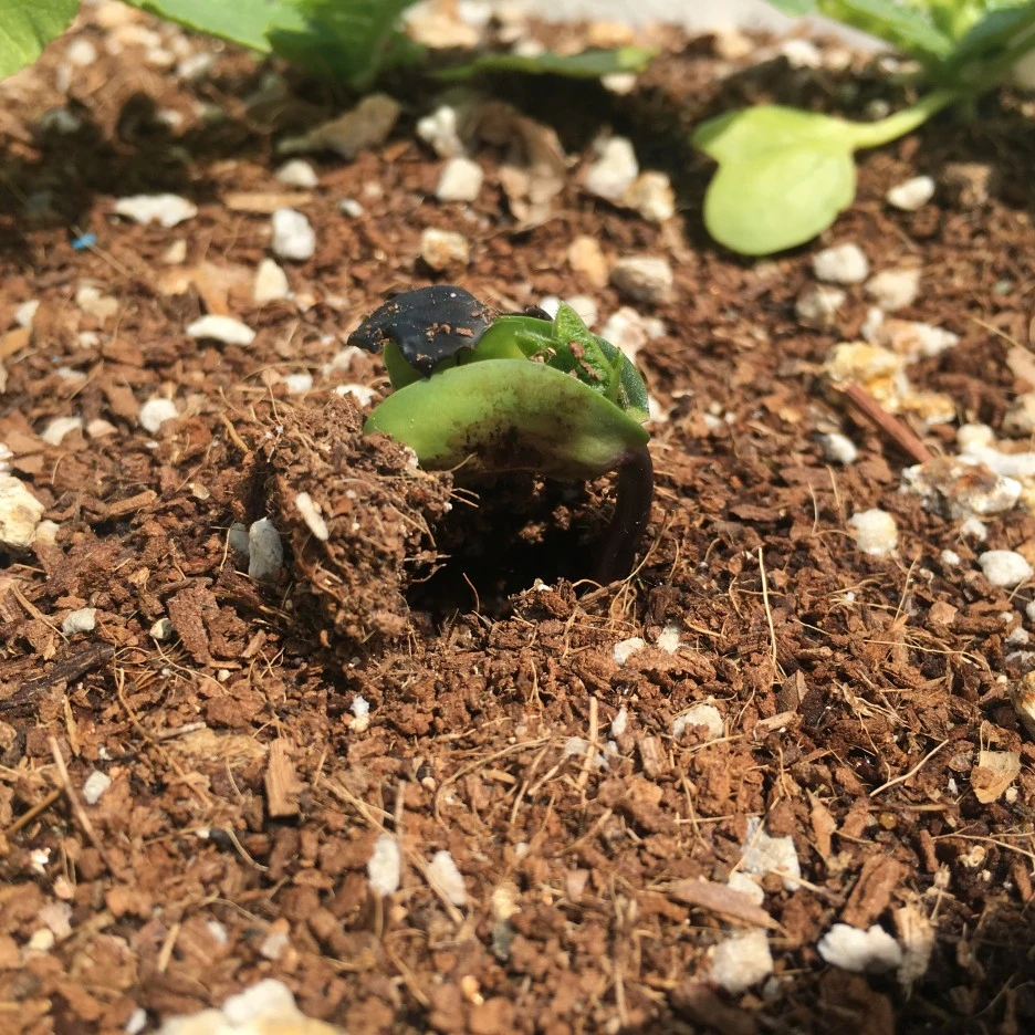 20210511_1362.JPG?type=w1