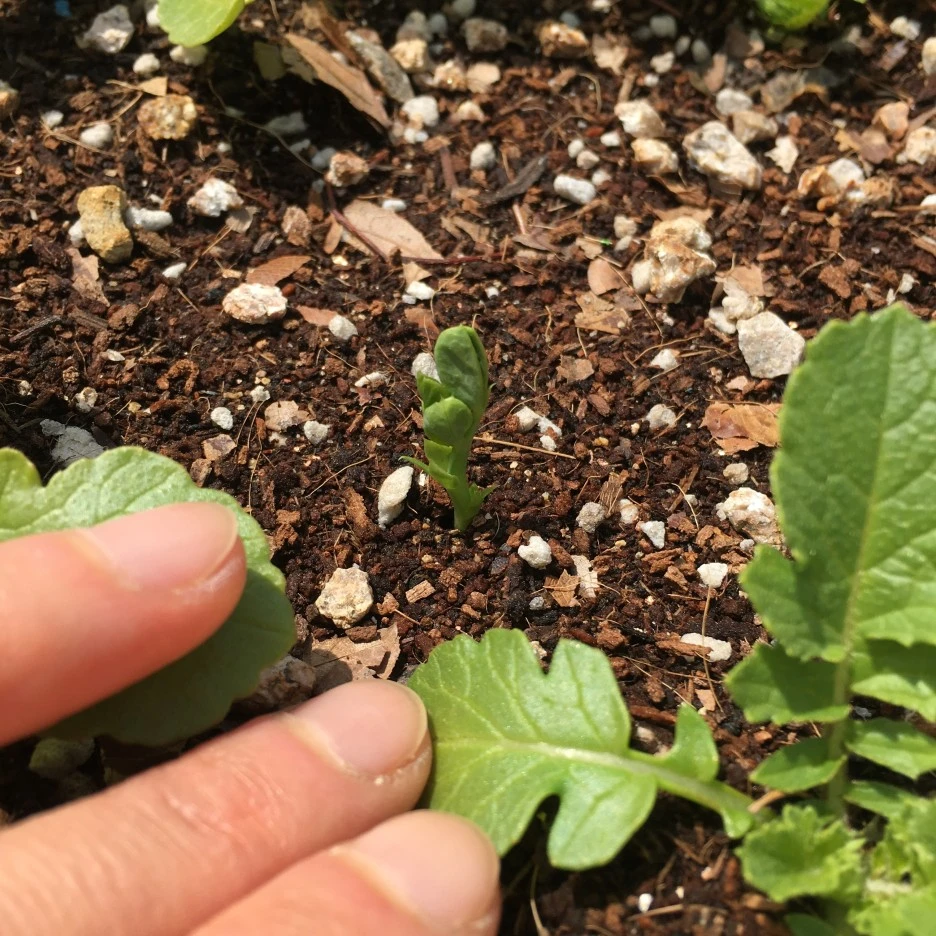 20210506_0089.JPG?type=w1