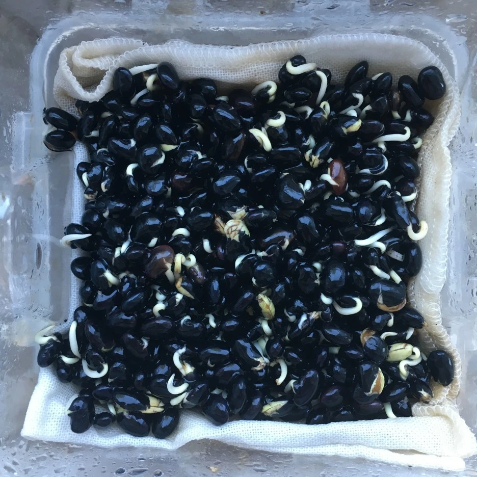 20210415_1080.JPG?type=w1