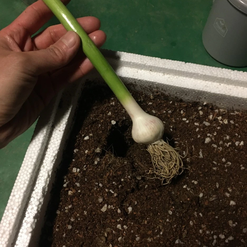 20210418_2846.JPG?type=w1