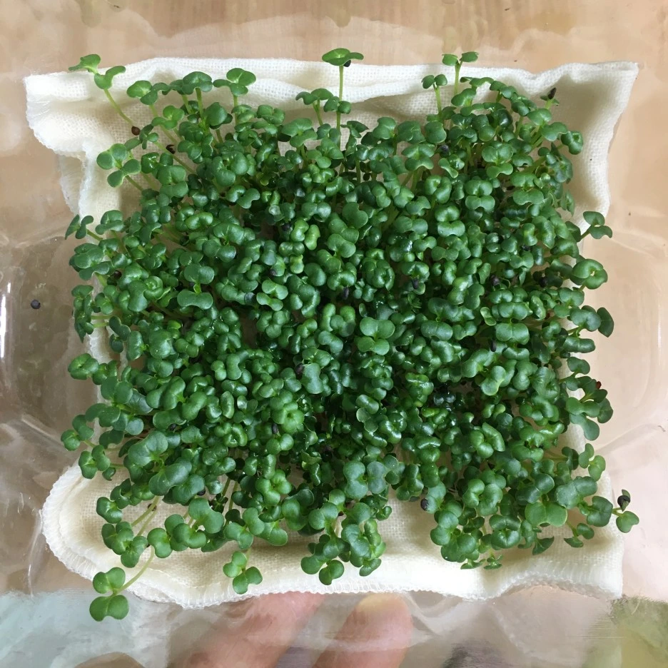 20210505_0087.JPG?type=w1