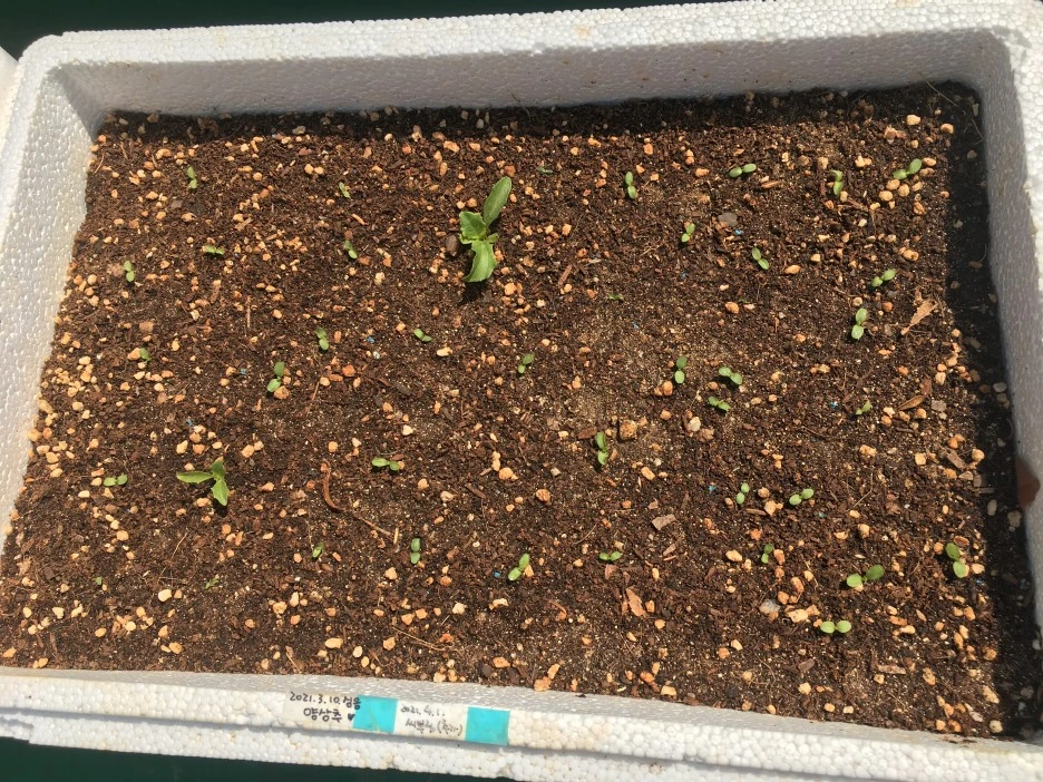 20210418_2833.JPG?type=w1