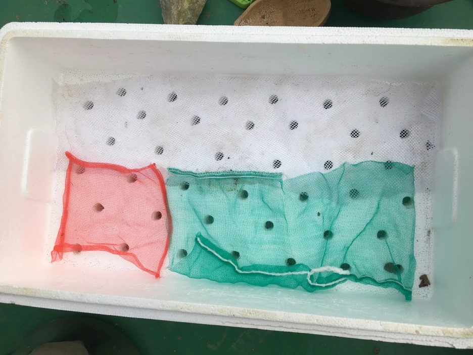 20210506_0099.JPG?type=w1