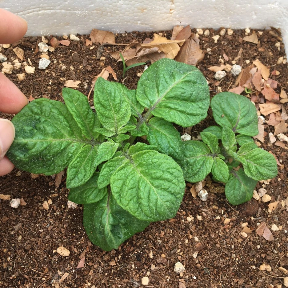 20210427_1114.JPG?type=w1