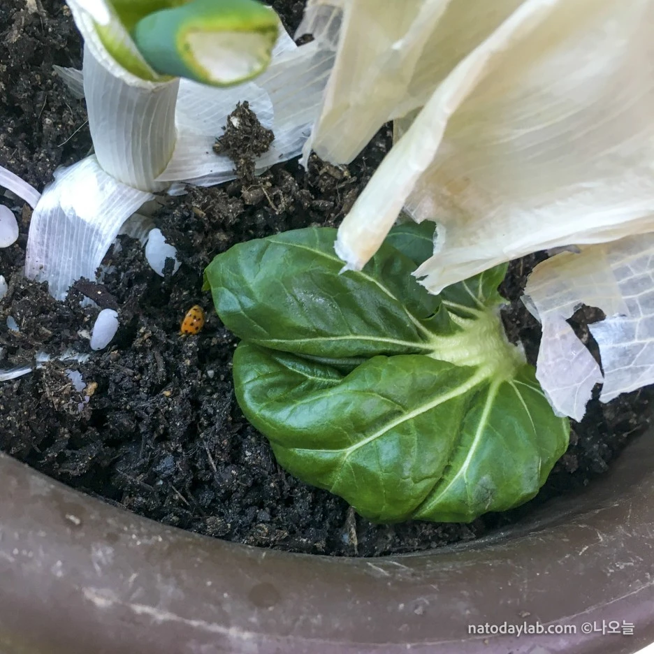 20210301--16.jpg?type=w1