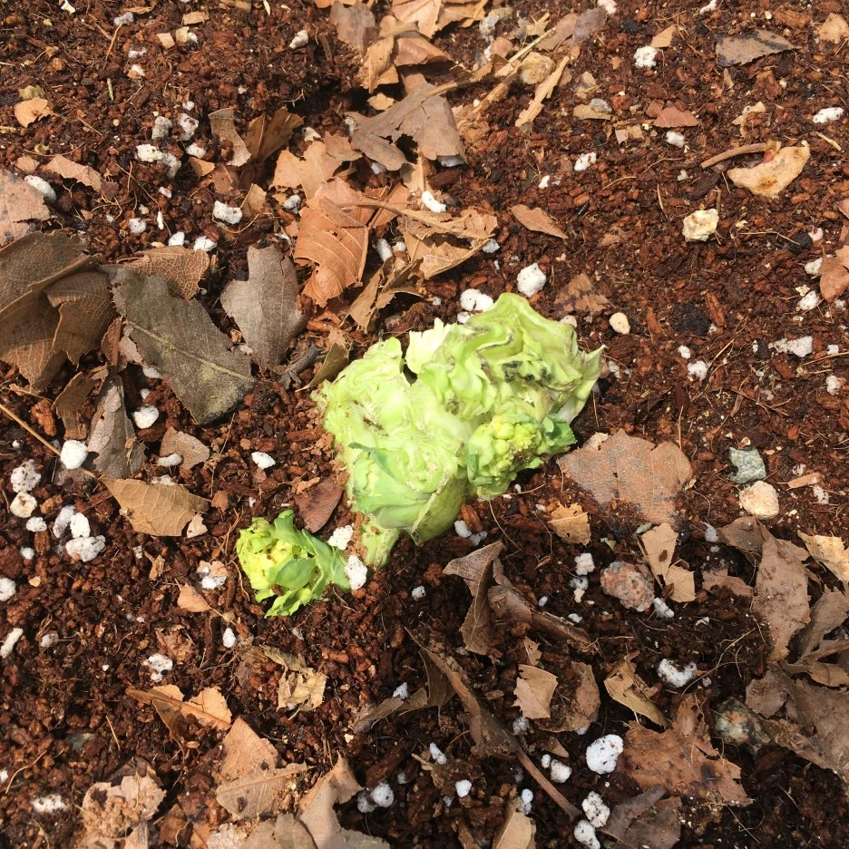 20210426_1083.JPG?type=w1