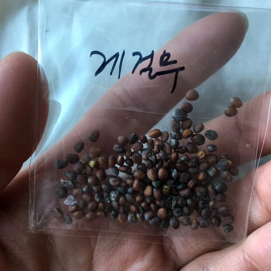 SE-75efef20-0cd5-4f9a-a43c-d6151ff93186.jpg?type=w1