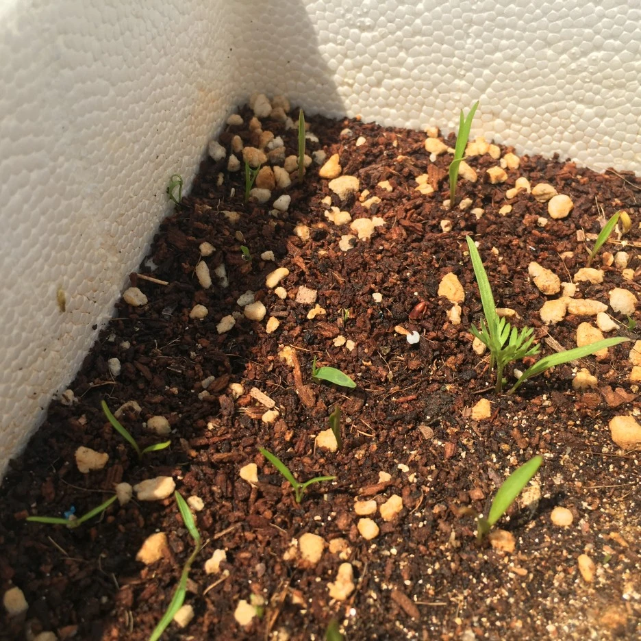 20210421_0900.JPG?type=w1