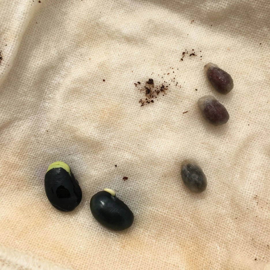 20210428_1134.JPG?type=w1