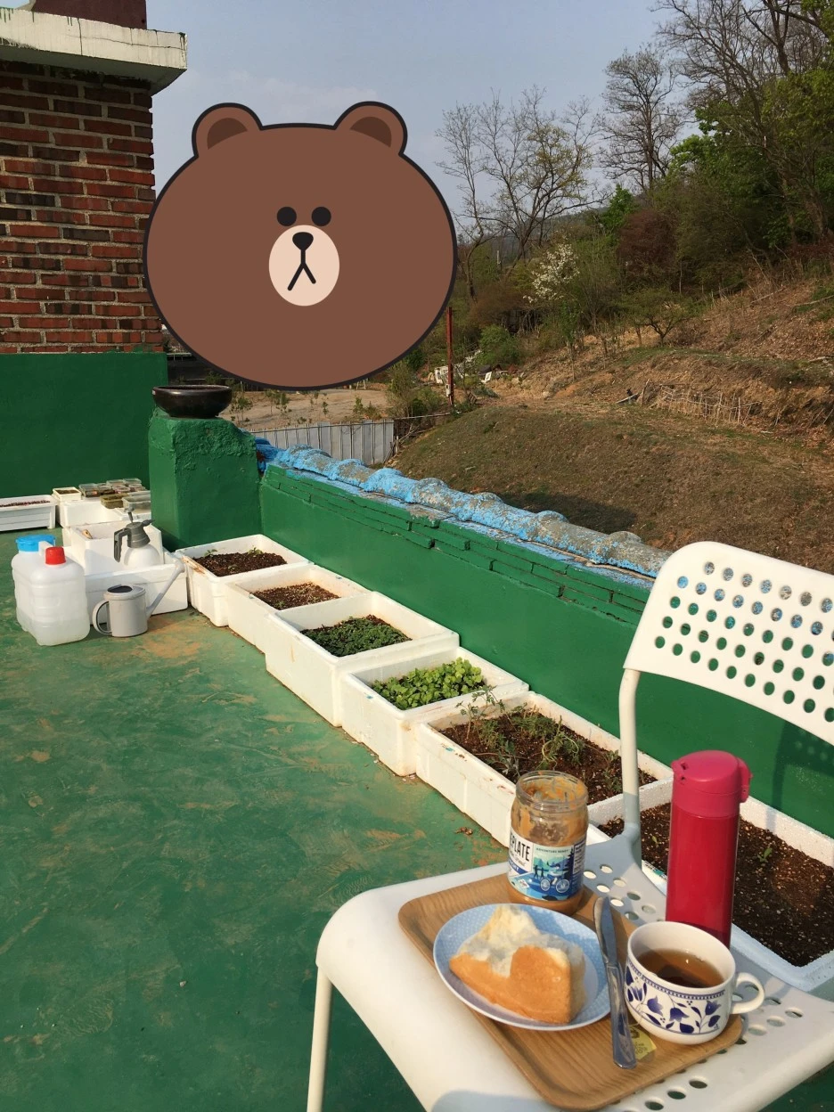 SE-d3387f28-9140-4b34-a363-2058185511d8.jpg?type=w1