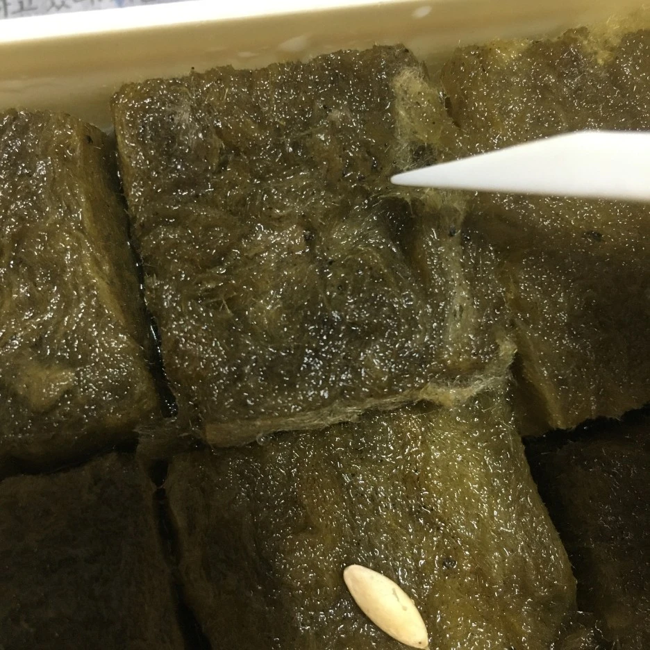 20210408_0607.JPG?type=w1