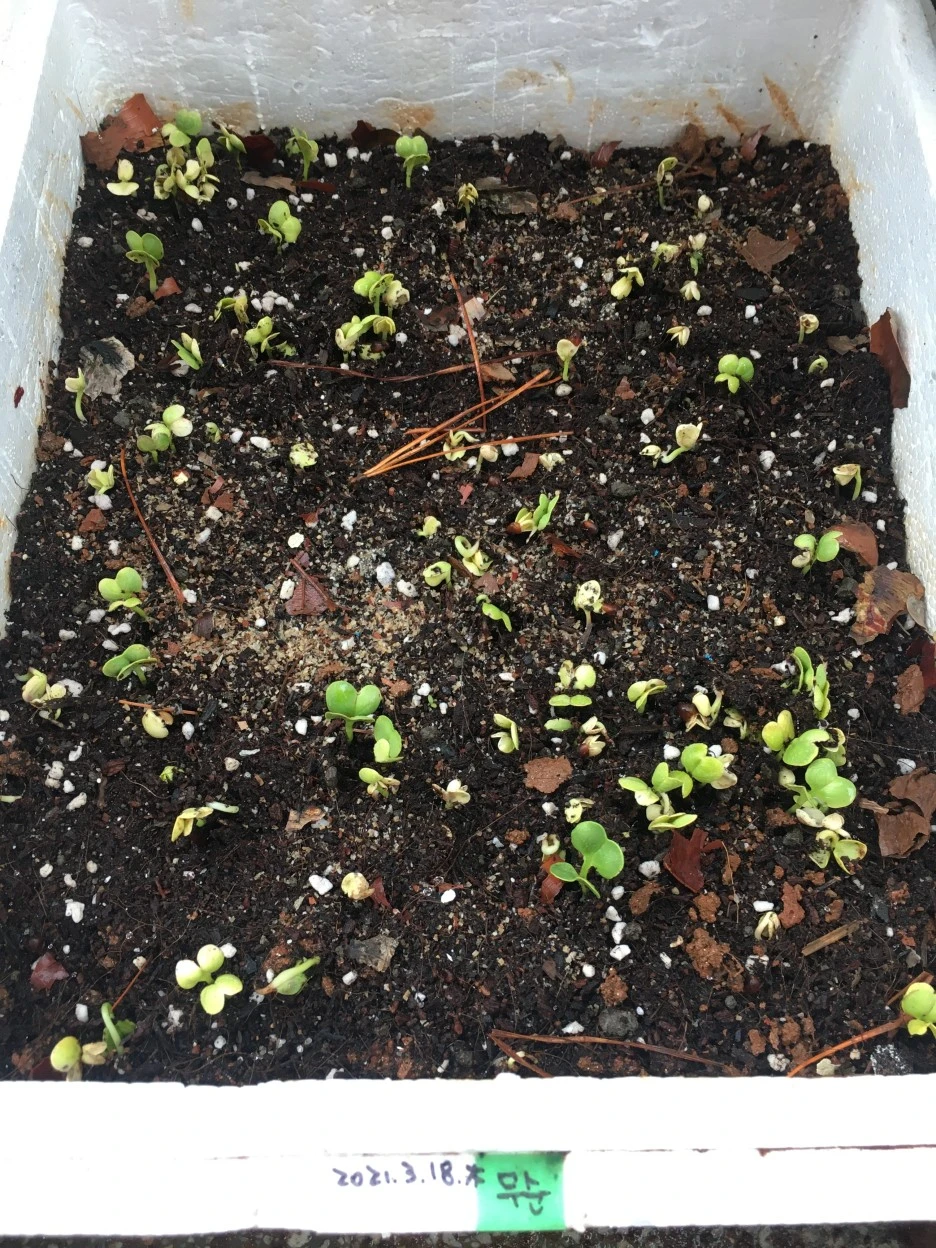 20210328_0374.JPG?type=w1