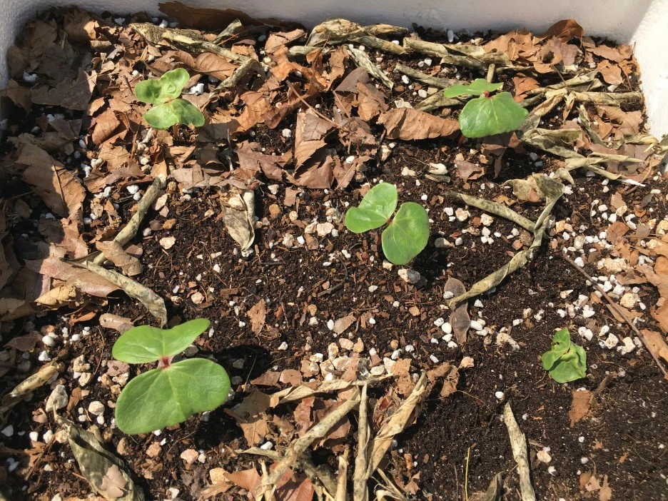 20210519_1678.JPG?type=w1