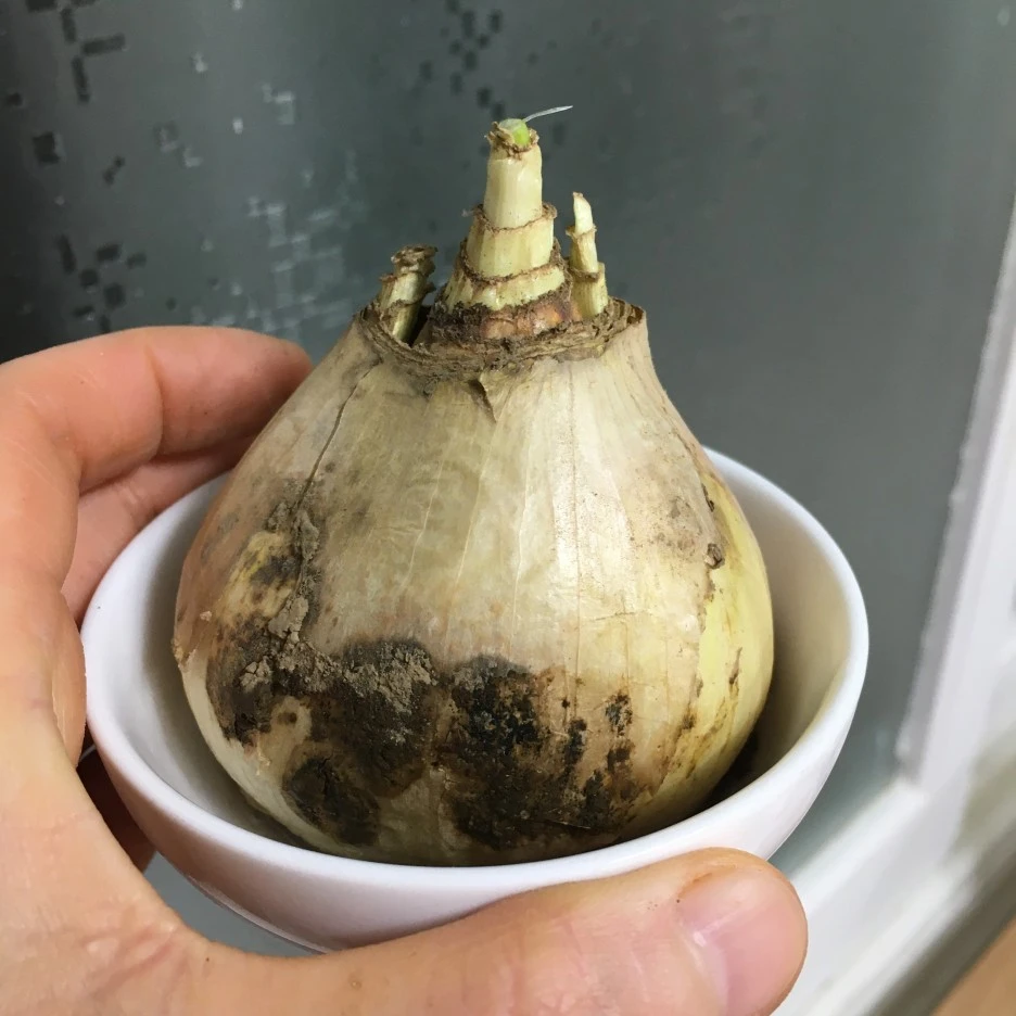 20210416_1115.JPG?type=w1