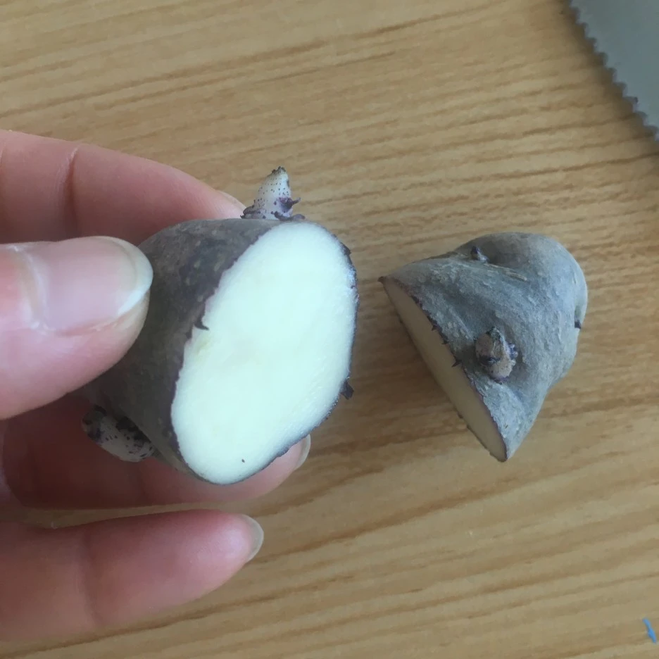 20210331_0415.JPG?type=w1