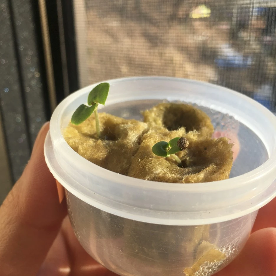 20210305_0079.jpg?type=w1