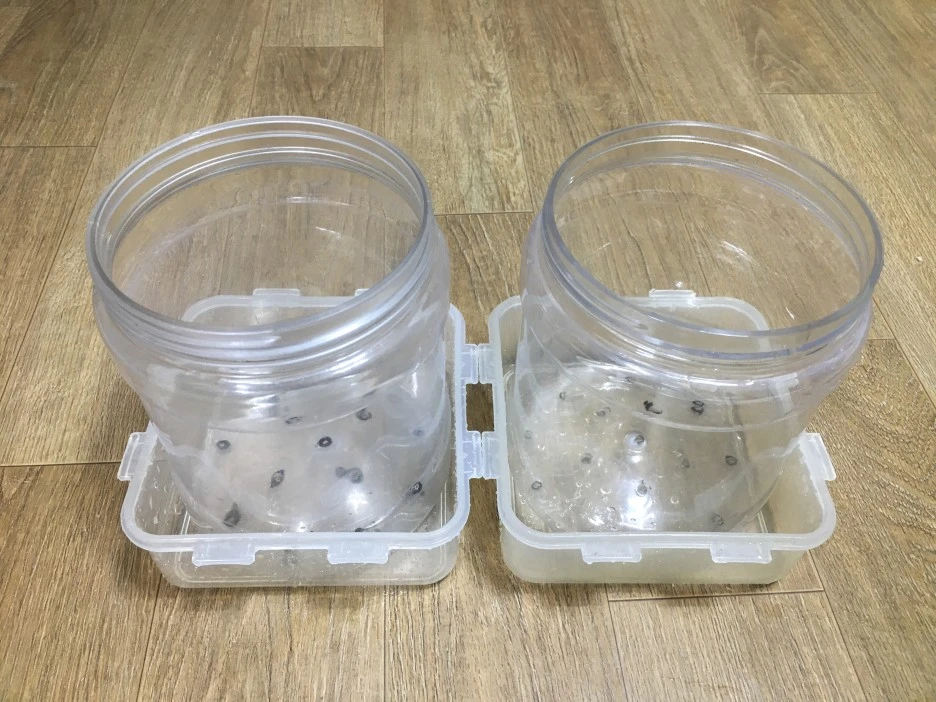 20210309_0104.jpg?type=w1