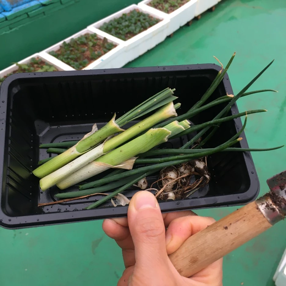 IMG_0937.JPG?type=w1