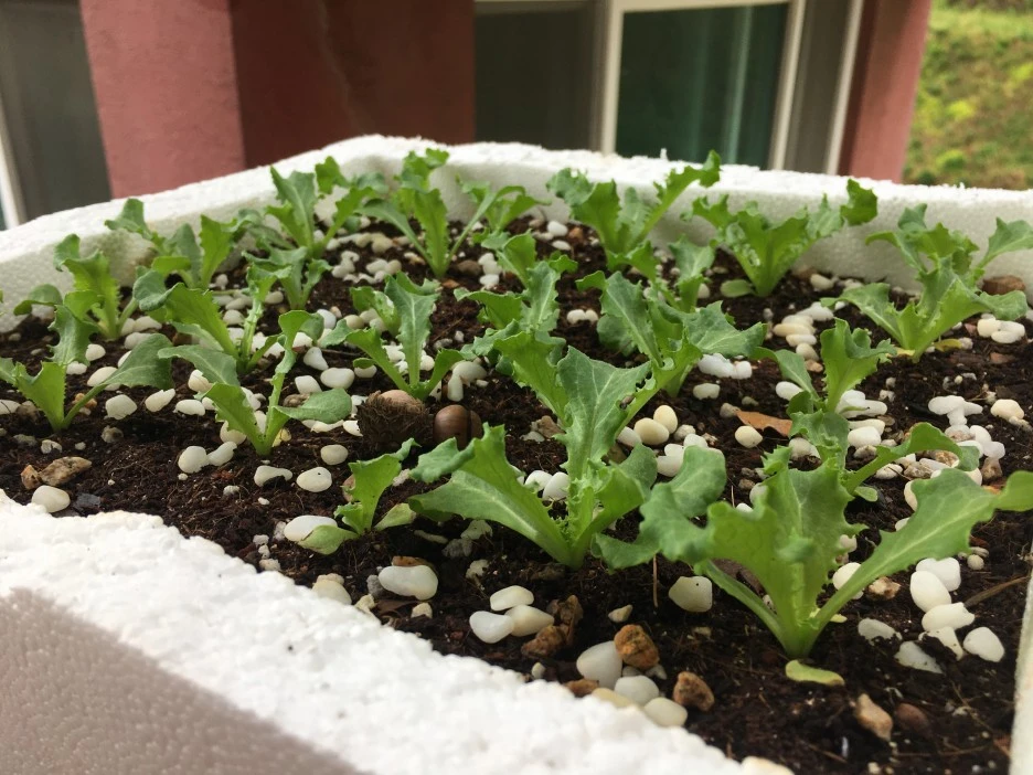 20210517_1604.JPG?type=w1